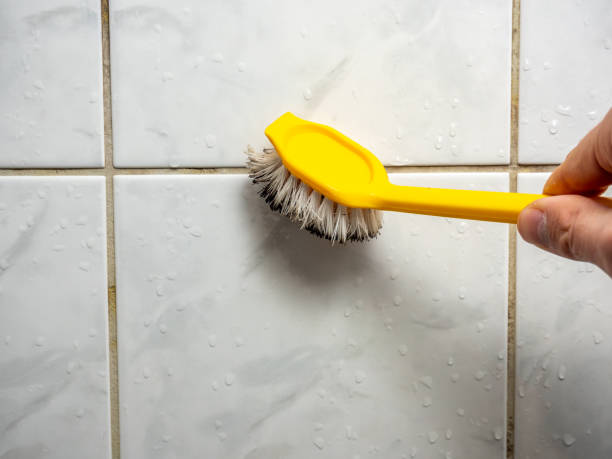 Best Residential Mold Remediation in Freeport, IL