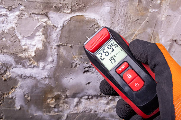 Best Residential Mold Remediation in Freeport, IL