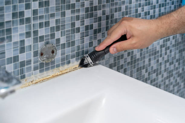 Best Localized Mold Remediation (e.g., coastal areas, humid climates) in Freeport, IL