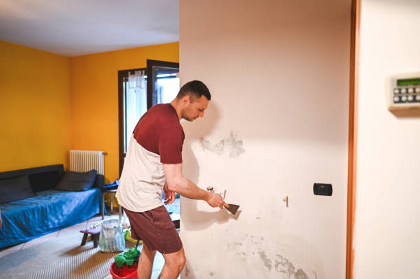 Trusted Freeport, IL Mold Remediation Experts